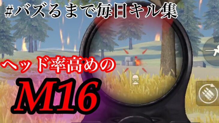 【23日目】神曲で贈るm16onlyキル集!!【荒野行動/キル集/m16】