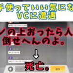 【荒野人狼】グリッチ使っていい気になってるVCに遭遇