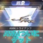 【荒野行動】AWMゲットするまでガチャ回す【後編】ついにゲット！