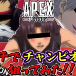 【APEX】ミサト・カヲル・ゲンドウが行く！ガチエヴァペックス【LIVE】