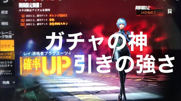 【荒野行動】EVAコラボ（エヴァガチャ）ガチャで神降臨