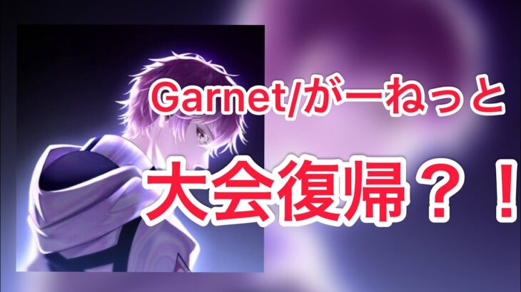 【荒野行動】Garnetが大会復帰します。【ストリーマー】【αD切り抜き】