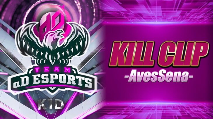 【荒野行動】AvesSena   mixキル集