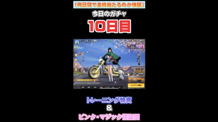 【荒野行動】【ガチャ】今日の運試し！！トレーニング物資とピンク・マジック怪盗団を引いた結果…！？【毎日投稿】