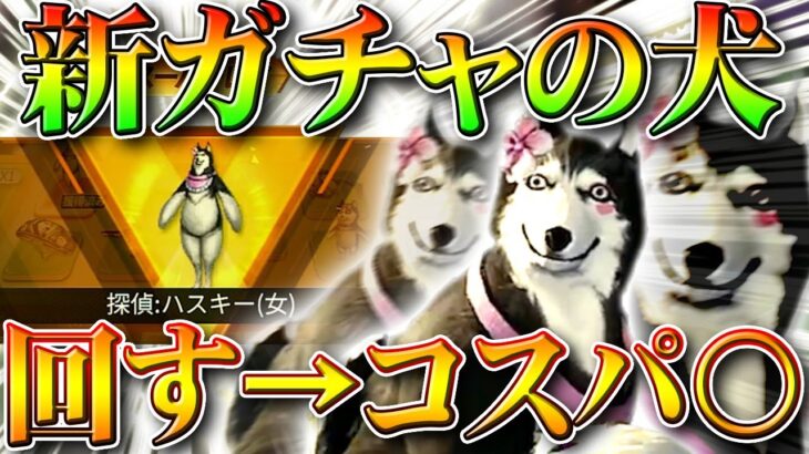 【荒野行動】新ガチャ回してみた！「ズッコケシリーズ２」スキンがかわいいｗ金券消費は少。無料無課金リセマラプロ解説。こうやこうど拡散のため👍お願いします【アプデ最新情報攻略まとめ】