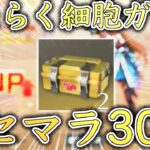 【荒野行動】はたらく細胞ガチャをリセマラで30連してみた‼︎【はたらく細胞コラボ】