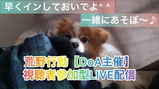 5/22（日）夜Ver【荒野行動/視聴者参加型LIVE配信】みっちゃん実況(^^)