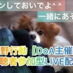 5/22（日）昼Ver【荒野行動/視聴者参加型LIVE配信】みっちゃん実況(^^)