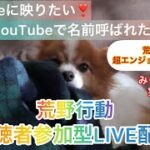 6/5（日）夜Ver【荒野行動/視聴者参加型LIVE配信】みっちゃん実況(^^)