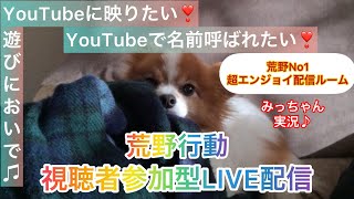 6/6（月）夜Ver【荒野行動/視聴者参加型LIVE配信】みっちゃん実況(^^)