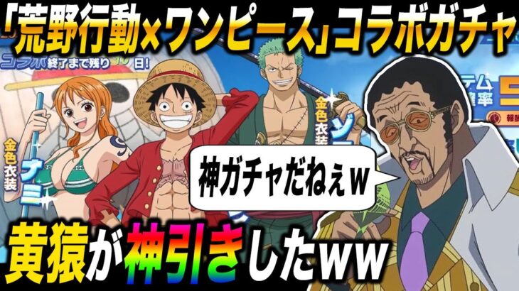 ｢荒野行動×ワンピース｣コラボガチャを黄猿が引いたら神引きしすぎてヤバすぎたｗｗ【柊みゅう】