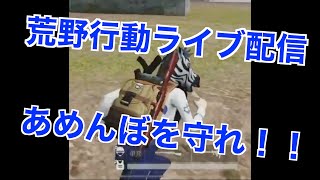 荒野行動　視聴者参加型　初見さん大歓迎