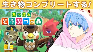 【あつまれどうぶつの森】生き物コンプリートするぞ配信#2