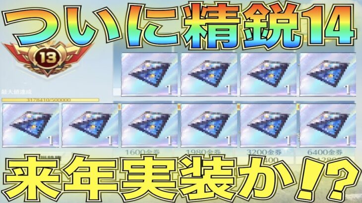 【荒野行動】新情報！ついに精鋭14実装か！？精鋭レベル更新の可能性についてお届け！【PC版先行アプデではない】