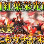 【荒野行動】明日「紅葉栄光ガチャ」JPにも「実装確定」→金枠配布もあります。無料無課金ガチャリセマラプロ解説。こうやこうど拡散のため👍お願いします【アプデ最新情報攻略まとめ】