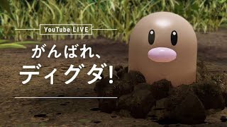 【荒野行動】かいぼーちゃんとデュオゲリラ　たくさん走ります!!!