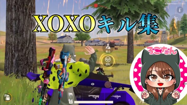 【XOXO】神曲でモチベ上がるキル集【荒野行動】【荒野女子】【対複数】【knivesout】