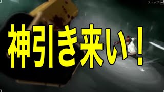 #チェーンソーマンコラボガチャ・後半「無料コインで最終日に金枠が出るのか検証してゆくぅ～」ｂｙ軍団員提供【荒野行動】PC版「チャンネル登録よろしくお願いします」「＃荒野の光」