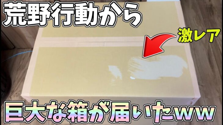 荒野行動から超巨大なダンボールが届いたので開封してみたら激レアな限定品が入ってたｗｗ【荒野行動】#1024 Knives Out