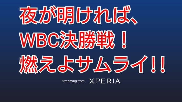 【Knives Out】SONY XPERIA5Ⅳ修正アプデ(2回目)後のテスト配信　2023.3.22【荒野行動】