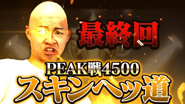 ガチの最終回　大物助っ人あり【荒野行動】