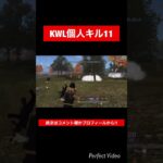 【荒野行動】Kwl本戦キルハイライト