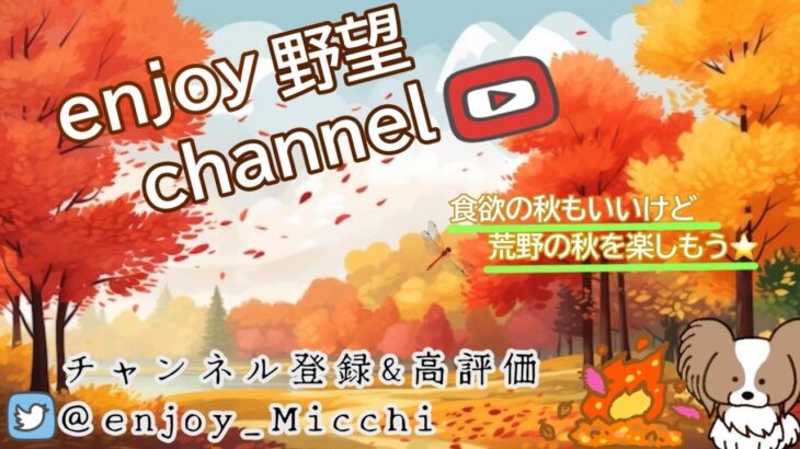 10/29（日）夜Ver.【荒野行動/視聴者参加型LIVE配信】みっちゃん実況(*^^)v 24時からは無言配信やる時がありますw※概要欄必読してから遊びにきてね♪