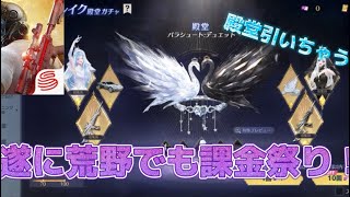 【荒野行動】初、荒野実況！初めに、まぁガチャ引くっしょ！！