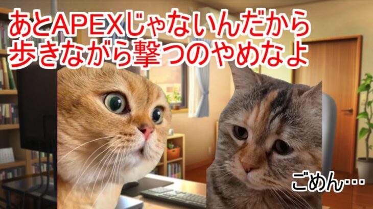 VALORANT初心者の日常【猫ミーム】 #猫ミーム  #猫マニ #memes