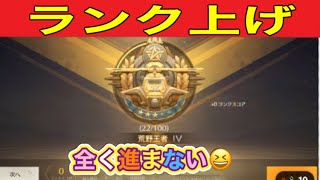 通常勢暇人「ランク上げ」【荒野行動】1799PC版「荒野の光」