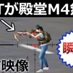 【荒野行動】BOTが「殿堂M4」装備してるんだけど…。キル速ぶっ壊れで無双してる！BOTの大幅強化・金銃・装備・PC版先行アプデ情報（Vtuber）