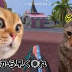 【猫ミーム】ゲーム実況の日常【荒野行動】