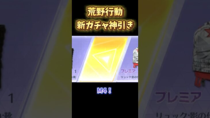 【荒野行動】新ガチャ聖痕の曙光‼︎無料コインで圧倒神引き‼︎‼︎‼︎【荒野の光】【荒野GOGOFES】　#荒野行動 #荒野女子 #ゲーム実況 #ガチャ #荒野の光