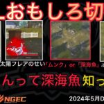 【荒野行動】配信中に放送事故でぼっきークビか。皆はむかたんって深海魚知ってる？おもしろ切抜き１３選！５月KWL２０２４DAY２ラウンド１【超無課金/αD/KWL/むかたん】Knives Out