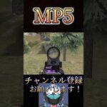 MP5でやばいことしたwww【荒野行動】