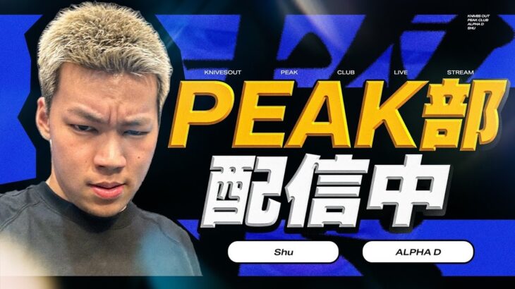 【縦配信】PEAK部【荒野行動】