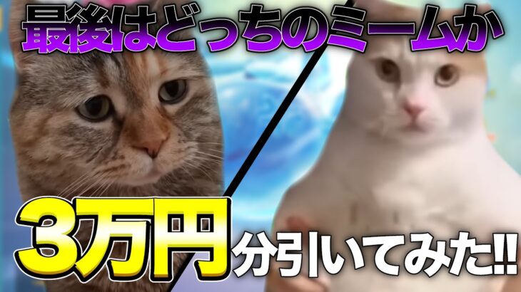 【荒野行動】 ガチャ動画を猫ミームで実況してみた!!