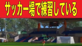 やらないか！【荒野行動】1738PC版「荒野の光」「荒野にカエル」「荒野GOGOFES」