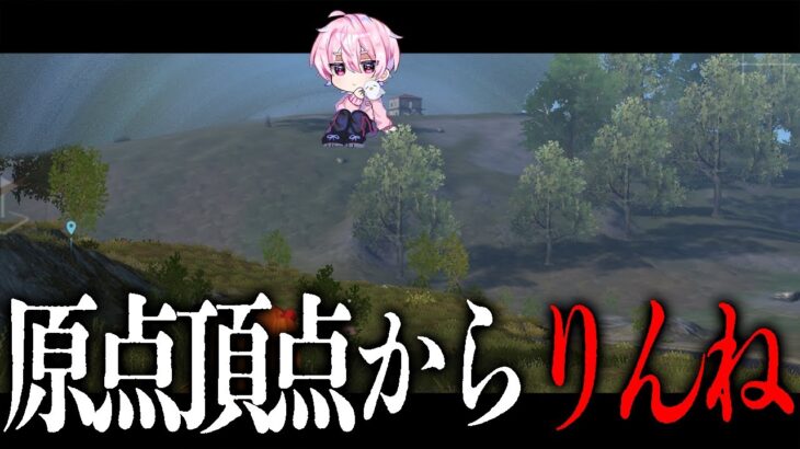 【9キル】六角屋根にはりゅうにきを乗せ、りんねは原頂を更地にする。【荒野行動】