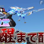 【荒野行動】CS殿堂を100キル覚醒するまで配信していく物語　６日目