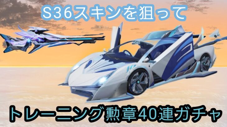 S36スキンを狙ってトレーニング勲章40連ガチャ【荒野行動】　第25話