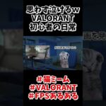 VALORANT初心者の日常#shorts  #valorant  #memes