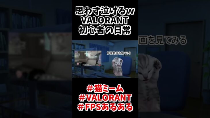 VALORANT初心者の日常#shorts  #valorant  #memes