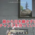 【荒野行動】てぃちゃさんの快進撃　#荒野行動 #games #ゲーム実況