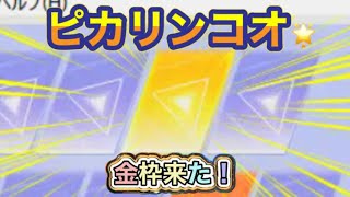 軍団活動【荒野行動】1831PC版「荒野の光」「荒野夏の超感謝祭」