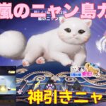 【荒野行動】殿堂嵐のニャン島ガチャ😸神引きニャン⁈#荒野行動 #荒野行動ガチャ #荒野あーちゃんねる