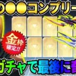 【荒野行動】無料で●●コンプリート！可愛すぎるアイテムを狙ってガチャ引いたら最後に奇跡が起きたwwwww