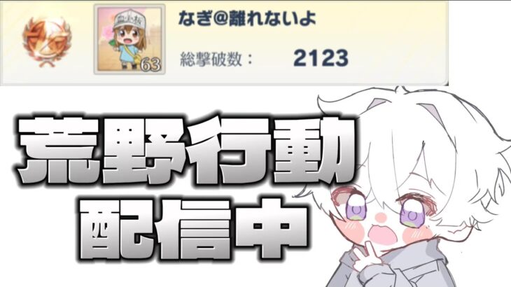 【荒野行動】総撃破数サーバー１位目指す配信！！現在5位【本気のソロクイン】