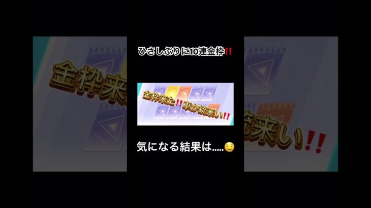 【生配信】アニメの話で盛り上がろうかえ～。今日は朝から料理したりして楽しかったぜ【荒野行動】