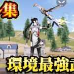 【荒野行動】新武器＆強化された武器負ける気がしない⁉️全距離で破壊する対複数キル集Part.134 【荒野の光】